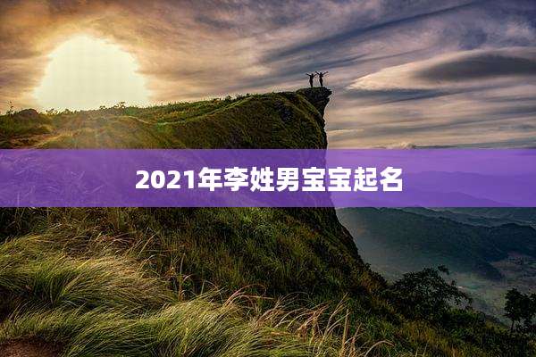 2021年李姓男宝宝起名