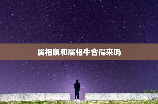 属相鼠和属相牛合得来吗