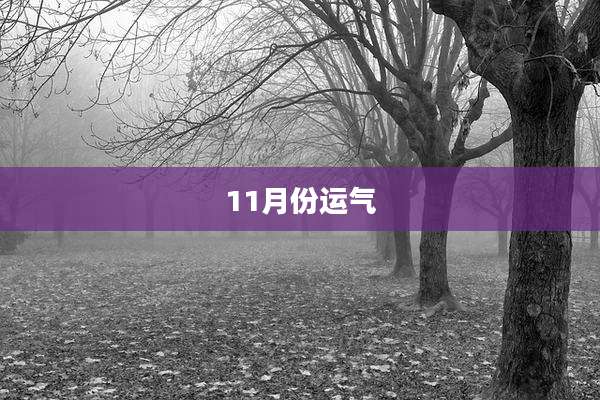 11月份运气