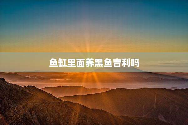 鱼缸里面养黑鱼吉利吗