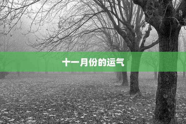 十一月份的运气