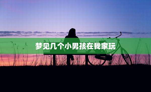 梦见几个小男孩在我家玩