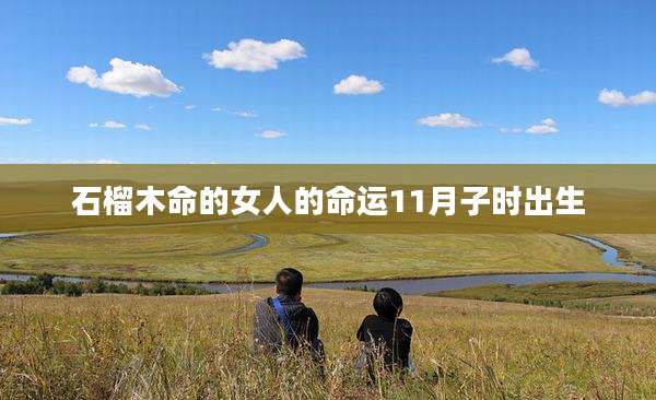 石榴木命的女人的命运11月子时出生