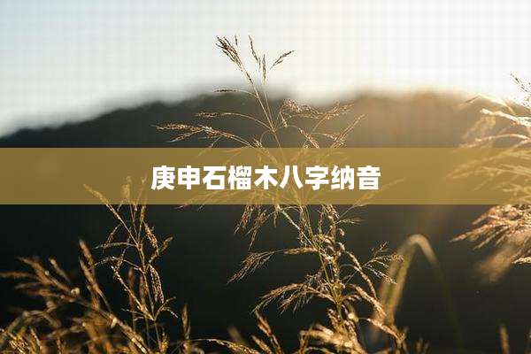 庚申石榴木八字纳音