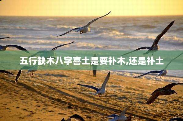 五行缺木八字喜土是要补木,还是补土
