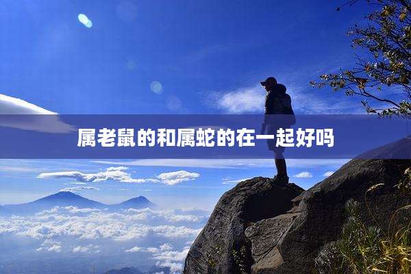属老鼠的和属蛇的在一起好吗