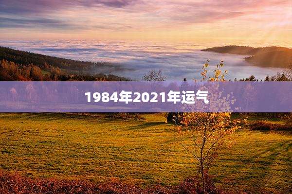 1984年2021年运气