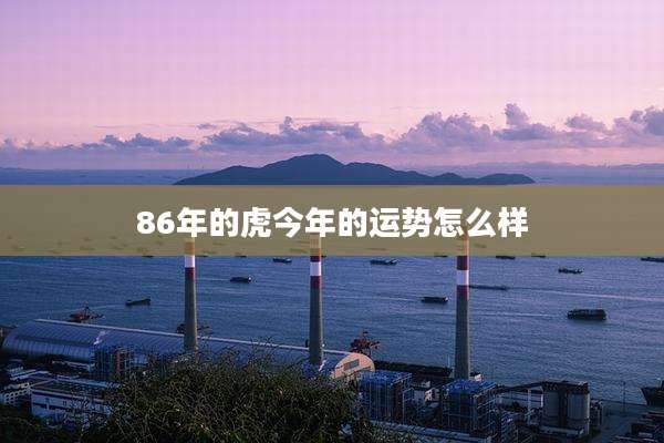 86年的虎今年的运势怎么样