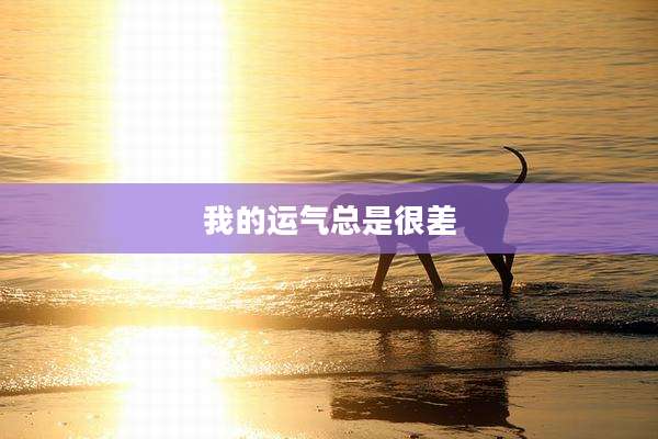 我的运气总是很差