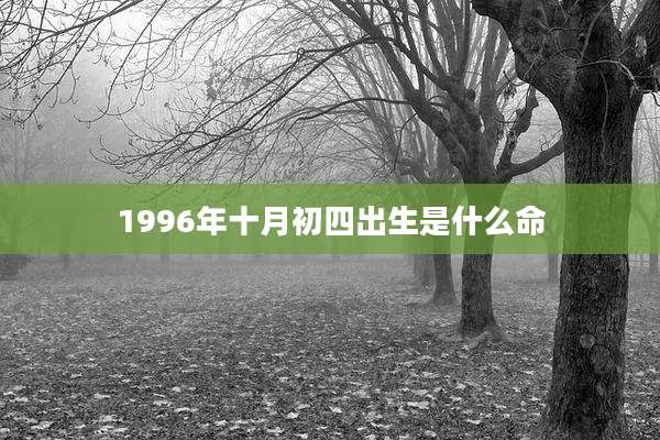 1996年十月初四出生是什么命