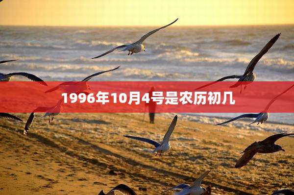 1996年10月4号是农历初几
