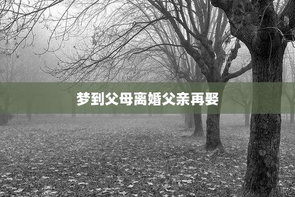 梦到父母离婚父亲再娶
