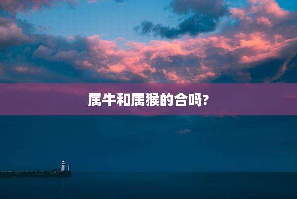 属牛和属猴的合吗?