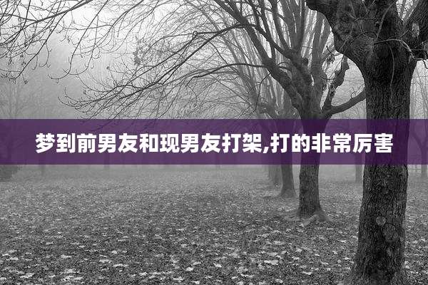 梦到前男友和现男友打架,打的非常厉害