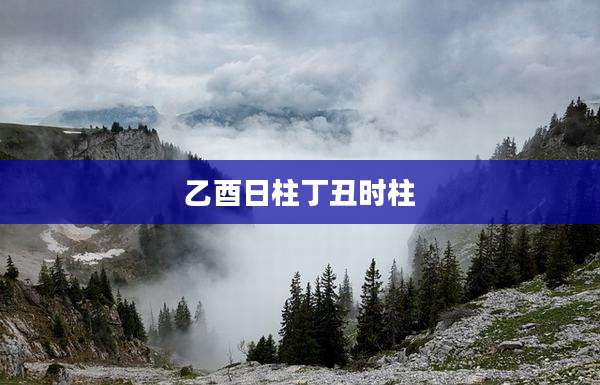乙酉日柱丁丑时柱