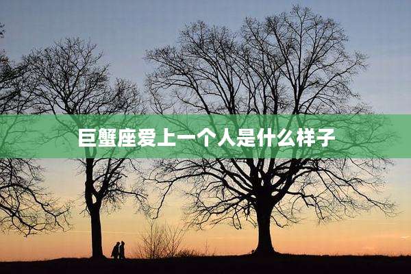 巨蟹座爱上一个人是什么样子