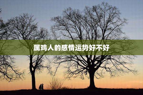 属鸡人的感情运势好不好