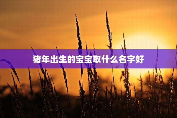 猪年出生的宝宝取什么名字好