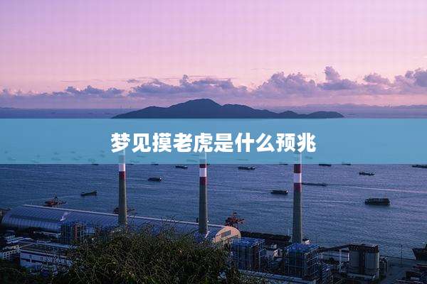 梦见摸老虎是什么预兆
