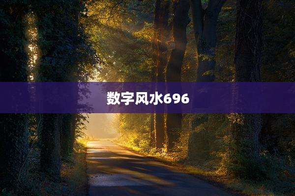 数字风水696