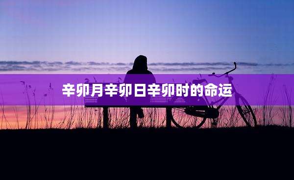 辛卯月辛卯日辛卯时的命运