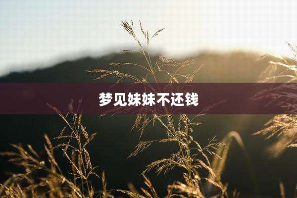 梦见妹妹不还钱
