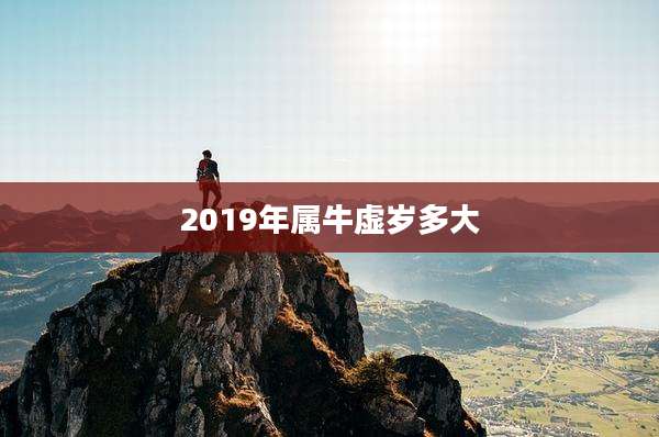 2019年属牛虚岁多大
