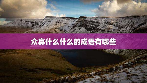 众寡什么什么的成语有哪些