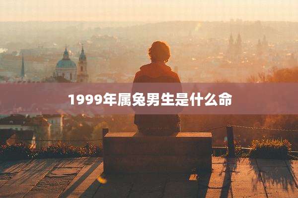 1999年属兔男生是什么命