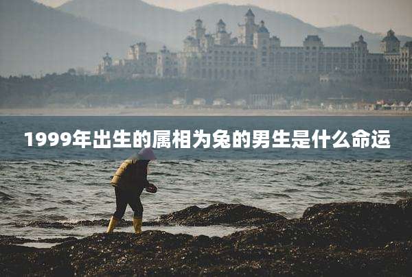 1999年出生的属相为兔的男生是什么命运