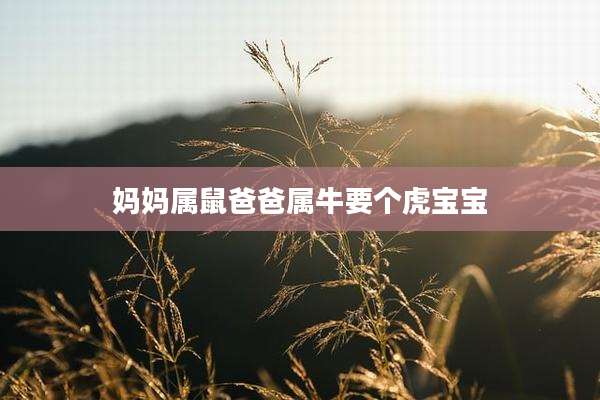 妈妈属鼠爸爸属牛要个虎宝宝