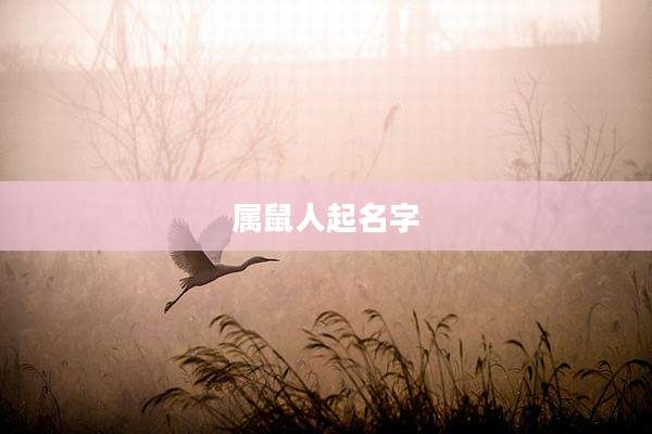 属鼠人起名字