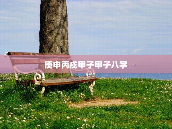庚申丙戌甲子甲子八字