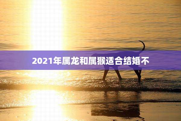 2021年属龙和属猴适合结婚不