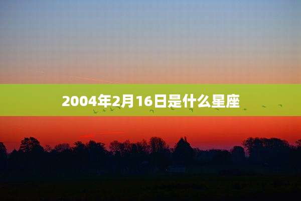 2004年2月16日是什么星座