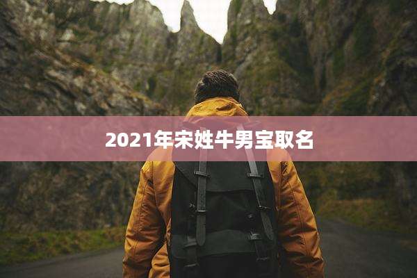2021年宋姓牛男宝取名