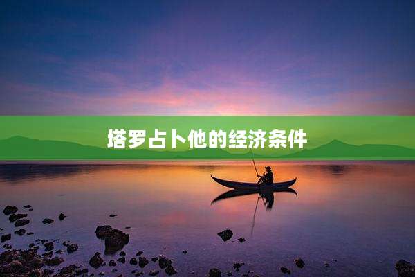 塔罗占卜他的经济条件