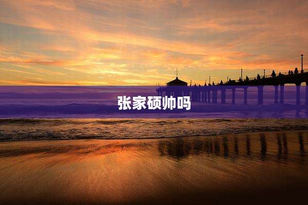 张家硕帅吗