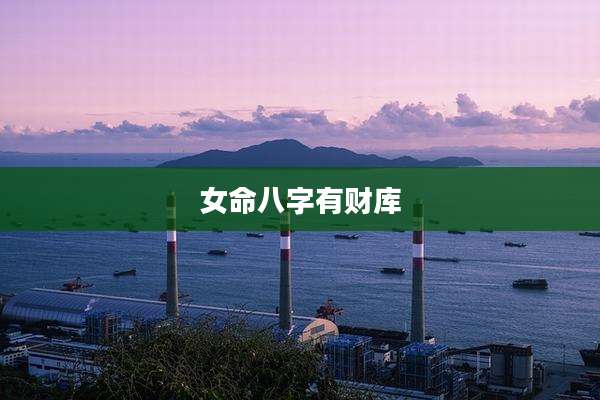 女命八字有财库