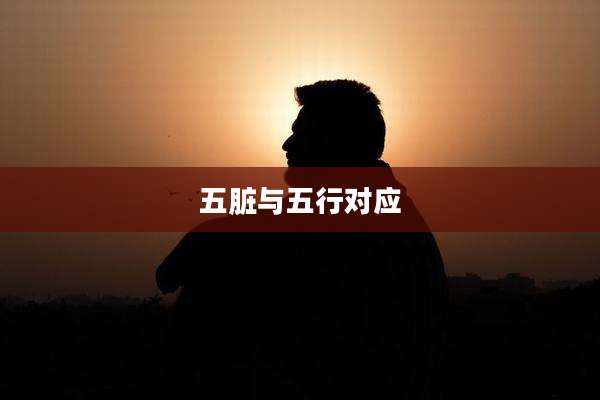 五脏与五行对应