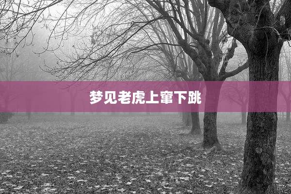 梦见老虎上窜下跳