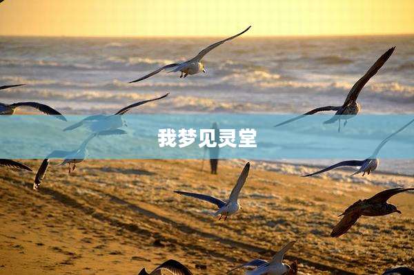 我梦见灵堂