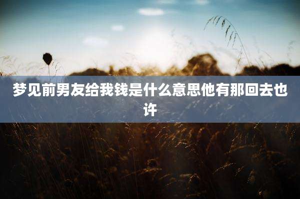 梦见前男友给我钱是什么意思他有那回去也许
