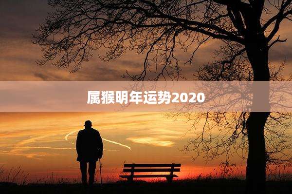 属猴明年运势2020