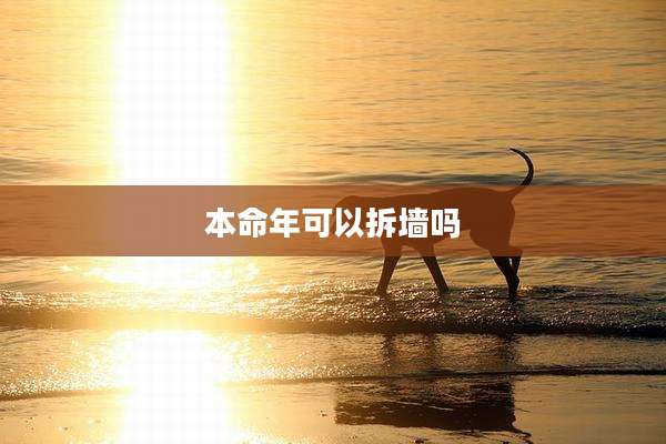 本命年可以拆墙吗