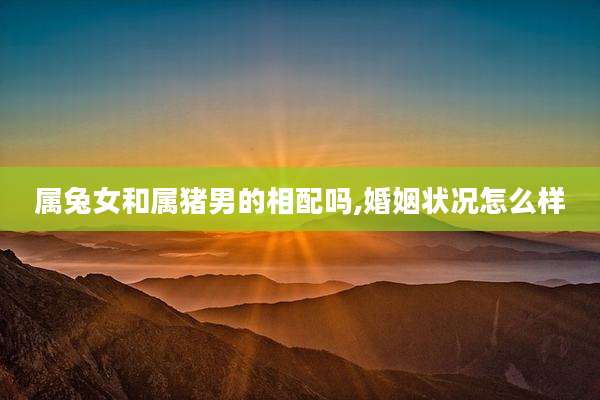 属兔女和属猪男的相配吗,婚姻状况怎么样