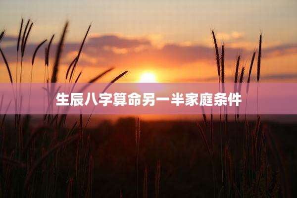 生辰八字算命另一半家庭条件