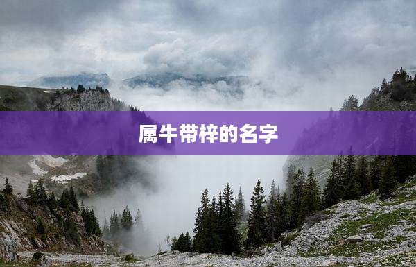 属牛带梓的名字
