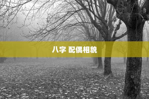 八字 配偶相貌