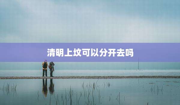 清明上坟可以分开去吗